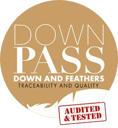 downpass footer