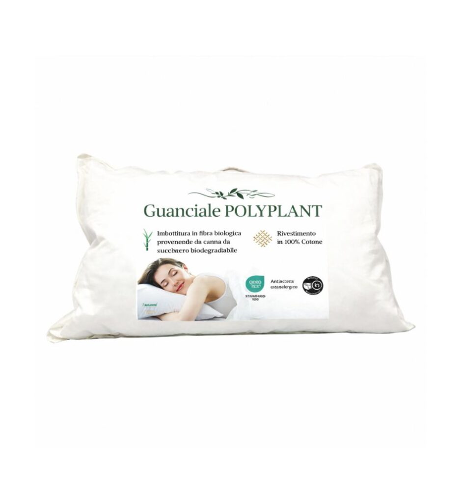 GUANCIALE POLYPLANT