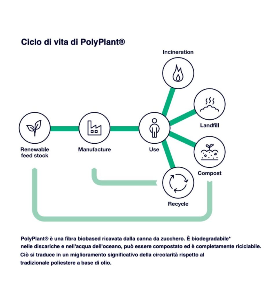 PIUMINO POLYPLANT