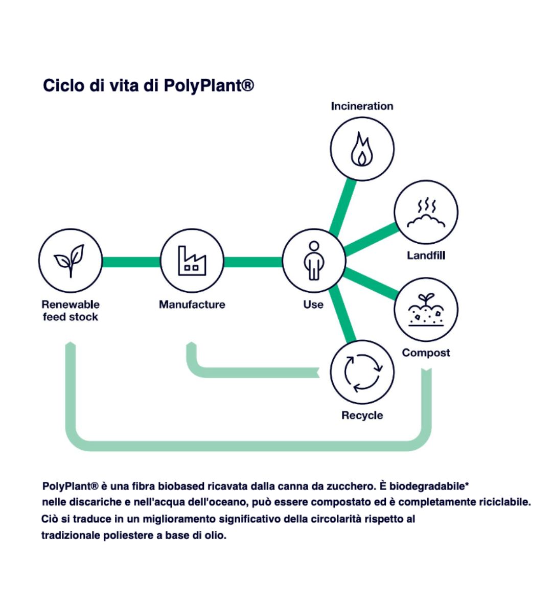 Guanciale vegano polyplant